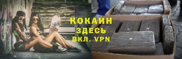 амф Алексеевка
