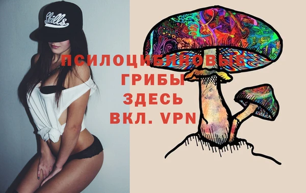 амф Алексеевка