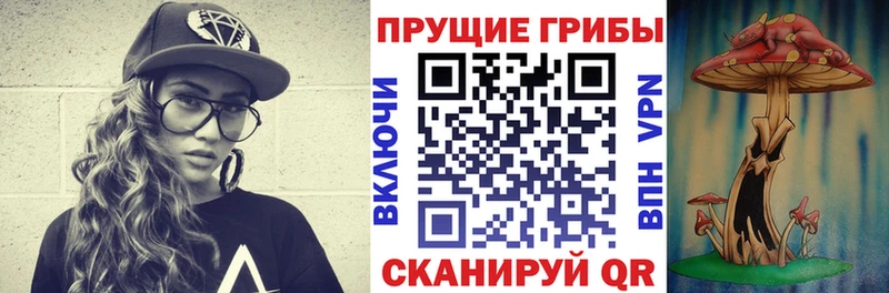 Галлюциногенные грибы мухоморы  продажа наркотиков  Северская 